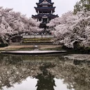 常州旅游 缩略图 11