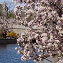 北京旅游 缩略图 1
