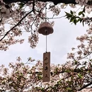 常州旅游 缩略图 9