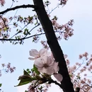 常州旅游 缩略图 15