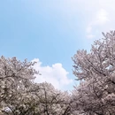 常州旅游 缩略图 14