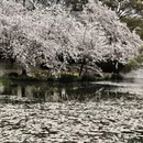 常州旅游 缩略图 16