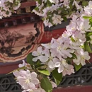 北京旅游 缩略图 7