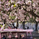 北京旅游 缩略图 2