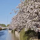 北京旅游 缩略图 6