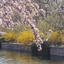 北京旅游 缩略图 10
