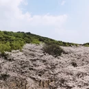 常州旅游 缩略图 13