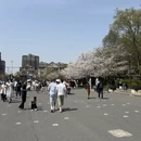 上海旅游 缩略图 10