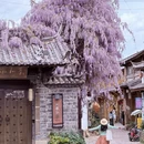 丽江旅游 缩略图 5