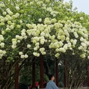 长沙旅游 缩略图 3