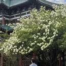 长沙旅游 缩略图 1