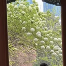 长沙旅游 缩略图 7