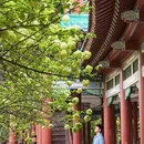 长沙旅游 缩略图 5