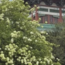 长沙旅游 缩略图 2