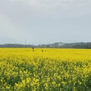 桂林旅游 缩略图 8