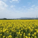 桂林旅游 缩略图 7