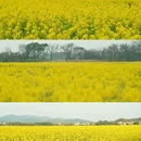 桂林旅游 缩略图 1