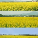 桂林旅游 缩略图 4