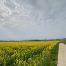 桂林旅游 缩略图 9
