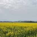 桂林旅游 缩略图 10