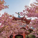 洛阳旅游 缩略图 15