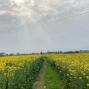 桂林旅游 缩略图 13