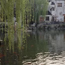 黄山旅游 缩略图 11