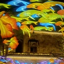 黄山旅游 缩略图 10