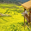 黄山旅游 缩略图 3