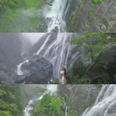 黄山旅游 缩略图 16