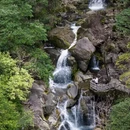 黄山旅游 缩略图 14