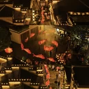 黄山旅游 缩略图 11