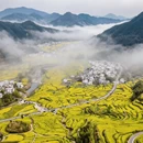 黄山旅游 缩略图 2