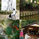 黄山旅游 缩略图 18