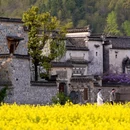 黄山旅游 缩略图 7