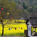 黄山旅游 缩略图 9
