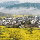 黄山旅游 缩略图 6