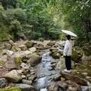 黄山旅游 缩略图 13