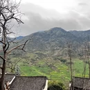黄山旅游 缩略图 4