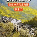 黄山旅游 缩略图 1