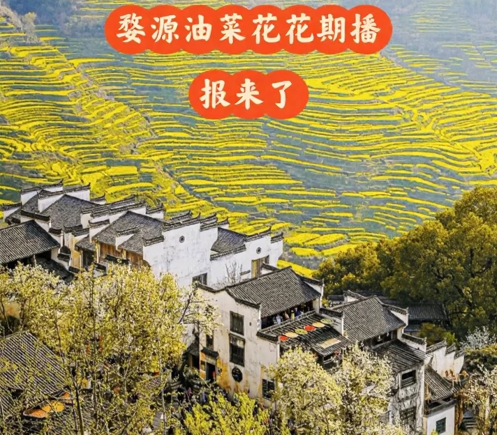 黄山旅游 1