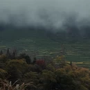 黄山旅游 缩略图 2