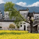 黄山旅游 缩略图 11