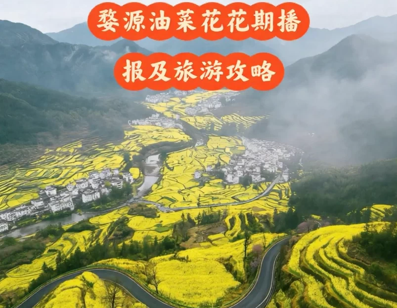 黄山旅游 1