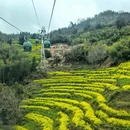 黄山旅游 缩略图 9