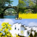黄山旅游 缩略图 9