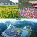 黄山旅游 缩略图 7