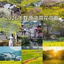 黄山旅游 缩略图 1