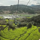 黄山旅游 缩略图 8