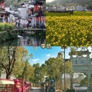 黄山旅游 缩略图 6